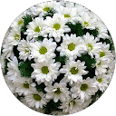 Mariana Boiarchyk profile picture